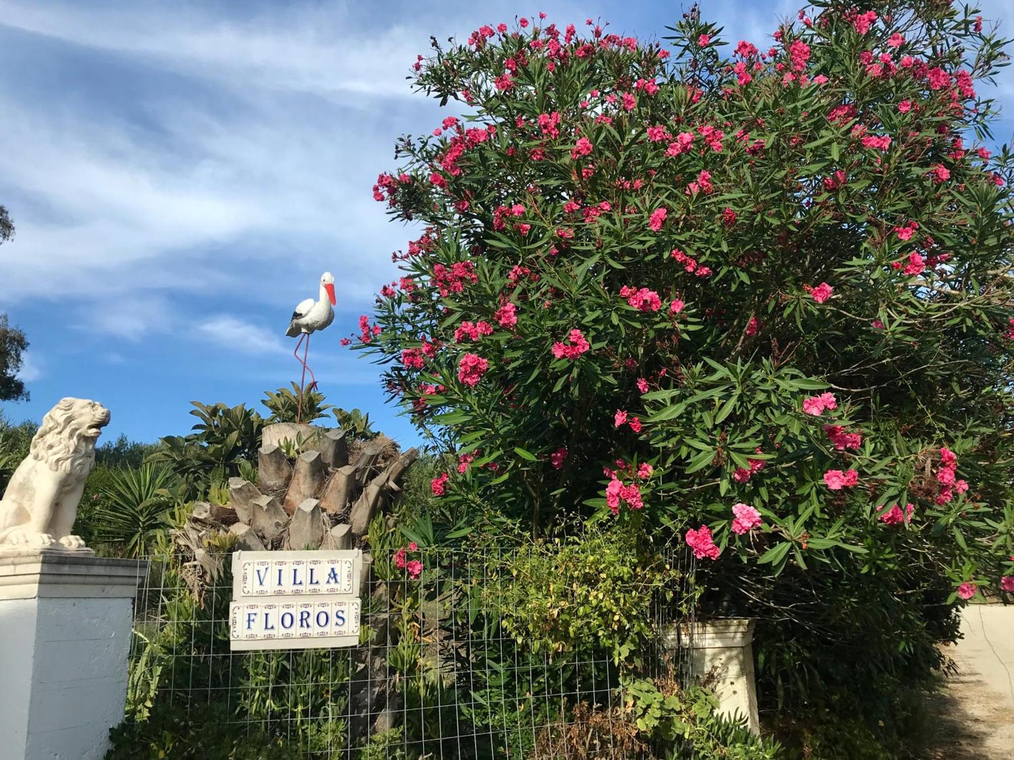 Floros Agios Stefanos Avliotes (Corfu)