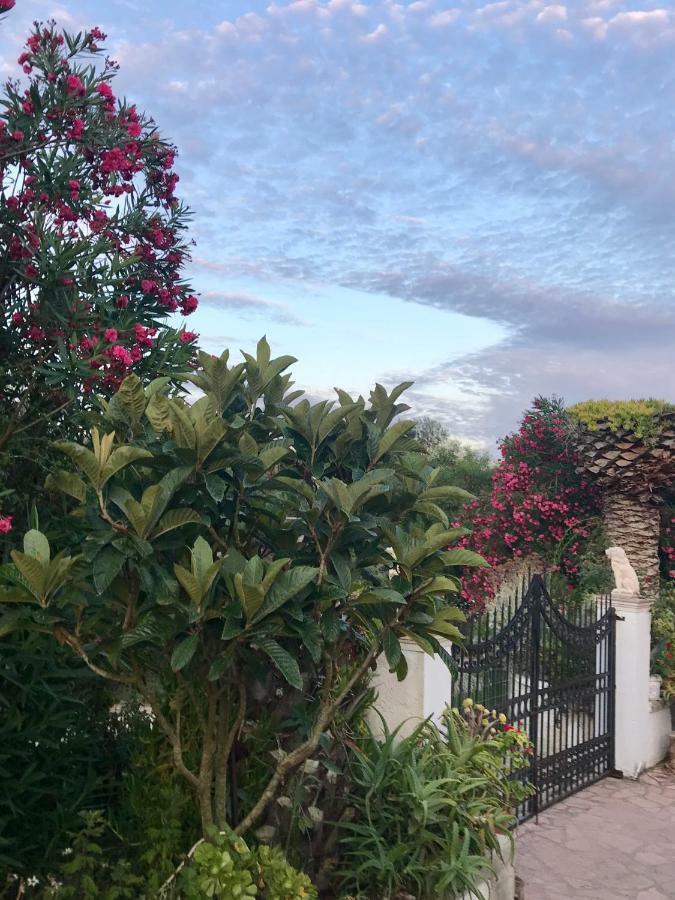 Floros Agios Stefanos Avliotes (Corfu)